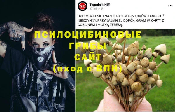 ALPHA PVP Аркадак